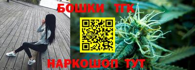 индика Дубна