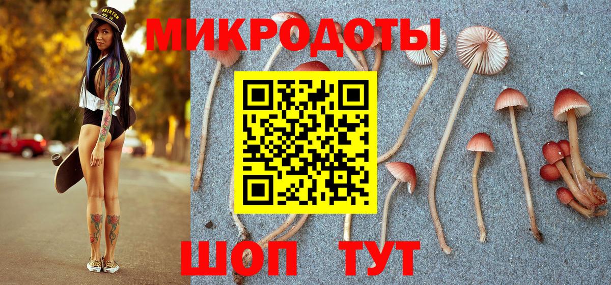 Галлюциногенные грибы мухоморы  где продают   Светлоград  Псилоцибиновые грибы Magic Shrooms  Вход с VPN 